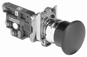 PXBB3111BT4 Parker PUSH BUTTON, 40MM, PB-MSHRM (P-P), RED NNP