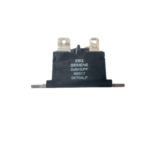 2X5K5/PF Siemens Siemens ebg 2x5k5/pf 96517 resistor 00704lf